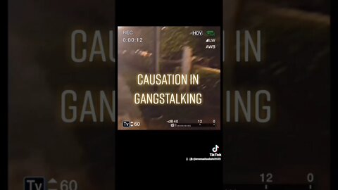 Gang-stalking in Action : The TikTok Edition on YouTube : Causation in Gang-stalking