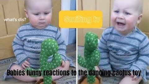 Babies funny reactions to the dancing cactus toy🌵//funny babies Part 1