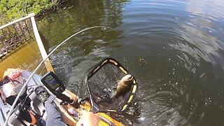 Rick Out Fishing Solo, While I Recover.