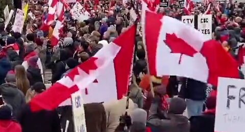 CALGARY FREEDOM RALLY 🇨🇦 HUGE CROWD!! 🇨🇦 #FREEDOMCONVOY22 #CANADA #TRUDEAUTYRANNY #ALBERTA #CALGARY