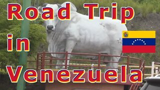 Road Trip in Venezuela October 15, 2019 🔴 Part 5 of 12 🔴