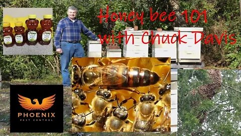 Honey Bee 101 with Chuck Davis