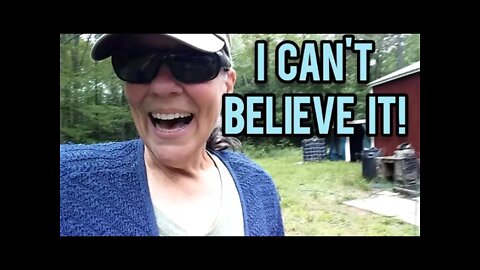 I Can't Believe It! - Ann's Tiny Life and Homestead