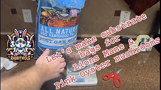 How to make wood pellet bags for lions mane and pink oyster #mushrooms