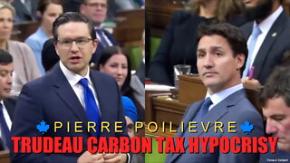 PIERRE POILIEVRE ON JUSTIN TRUDEAU CARBON TAX HYPOCRISY