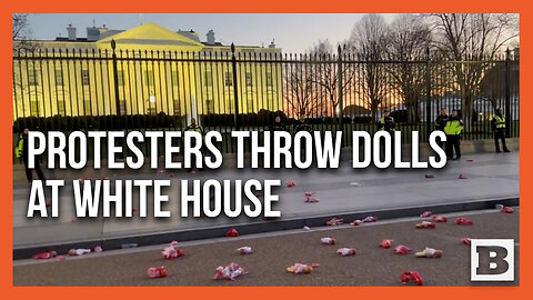 Pro-Palestinian Protesters Throw Baby Dolls Covered in Fake Blood at White House