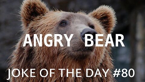 JOKE Of The Day #80 - The Angry BEAR Eats All The ANIMALS !