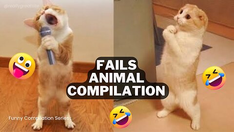 Animal Fails Compilation 🤣🤣