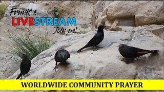 LIVESTREAM - Worldwide Community Prayer on September 17th 2022