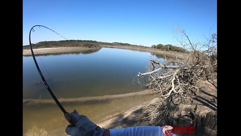 BANK FISHING BEAUFORT SC