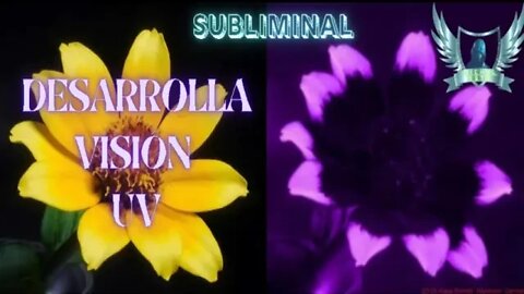Visión UltraVioleta - Audio Subliminal 2021
