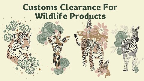 How to Get Your Wildlife Products Through Customs (Without Getting Arrested)