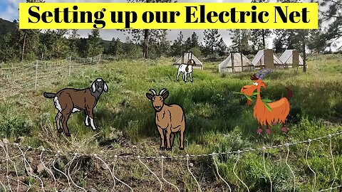 Setting up our Premier1 Electric Fence for Goats.
