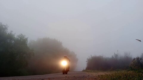 happy noises, in the fog, #2024, #biker, #summer, #ride,