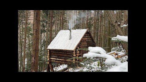 Building a Bushcraft Log Cabin in the Woods