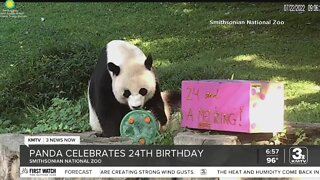 Take Time to Smile: Giant Panda Turns 24