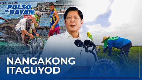 Pangulong Marcos, nangakong itaguyod ang agri-fishery modernization