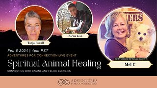 ADVENTURES FOR CONNECTION - PET HEALING WITH MEL C