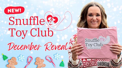 December Snuffle Dog Toy Box Kit Reveal 👀