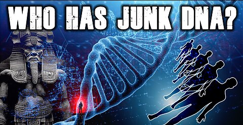 What is Junk DNA?
