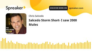 Salcedo Storm Short- I saw 2000 Mules