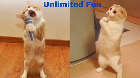 Funniest Dogs And Cats Videos | unlimited fun 2023 😂😅