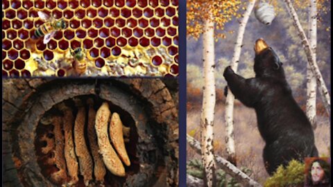 The Parable of The Guarded Honeybees and the Pilgrim