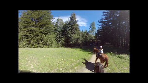 Trail ride dog scare horses