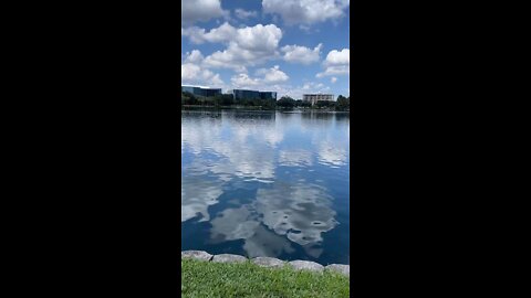 Livestream Replay - Lake Eola, Orlando, FL