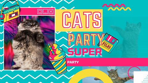 Cat Party 😸 [a list cats only] Try Not to Laugh!