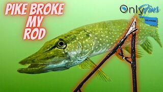 Unbelievable Pike Fishing: The One That Broke My Rod! North Dakota Pike Fishing