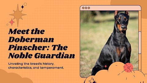 The Noble Guardian: Unveiling the Doberman Pinscher