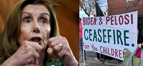 Nancy Pelosi Calls Protesters Against Her & Democrats Putin & Trump Puppets