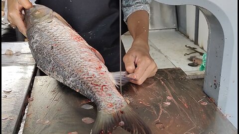 Amazing Fish Cutting Skills l Big Rohu Fish Fast Cutting By Machine In Market