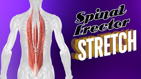 Effective Back Stretch: Relieve Tight Erector Muscles with Seated Stretch for Erector Spinae Relief