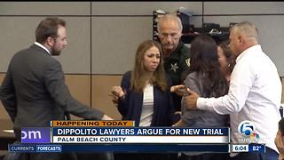 Dalia Dippolito defense team seeks new trial