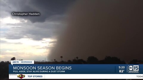 'Pull aside, stay alive' during dust storms
