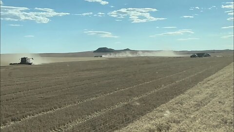 DAYS 42 & 43 / 2022 Wheat Harvest / July 27 & 28