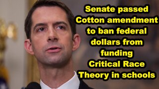 Senate passed Cotton amendment to ban federal dollars from funding CRT in schools -Just the News Now