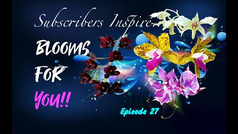 Subscribers Inspire | You Color my life | Blooms for YOU | Episode 27 🌸🌺🌼💐 #orchidsinbloom