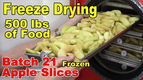 Freeze Drying Your First 500 lbs of Food - Batch 21 - Apple Slices with extras