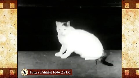 Fatty's Faithful Fido (1915) 🐱 Cat Movies 🎥🐈