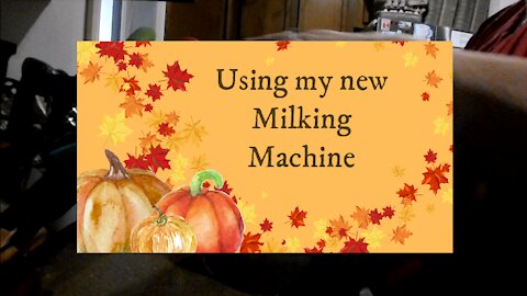 Using my new milking machine
