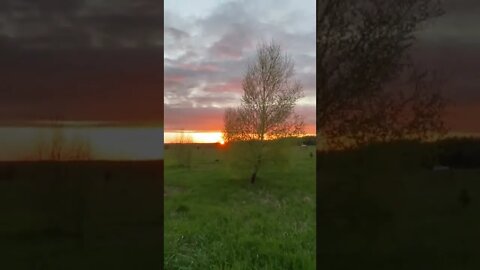 Watching the Sunset by a Highway in Canada