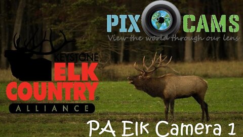 PA Elk Country Visitor Center - Camera 1 Live Stream