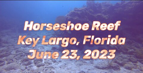 SCUBA Diving Horseshoe Reef, Key￼ Largo, Florida, U.S.A.