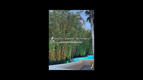 What Tall Privacy Plant Is Best In Florida For Privacy?