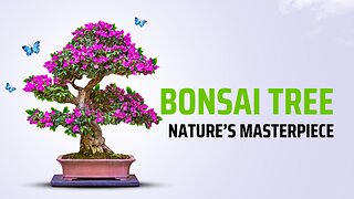 World of Bonsai: Nature's Masterpiece
