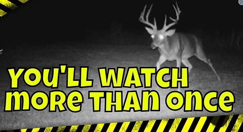 ULTIMATE Deer Hunting Trail Cam Video