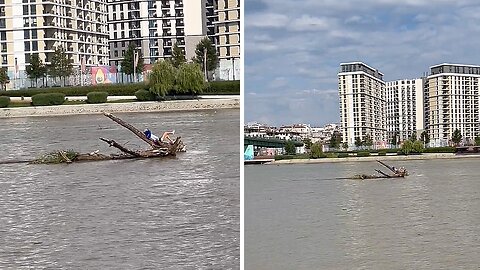 Man Hilariously Floats Downstream On Sava River On A Tree
